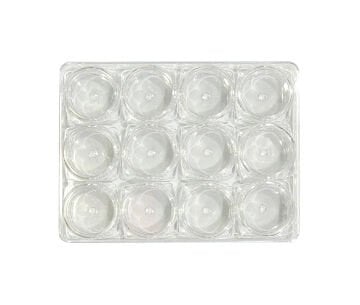 Vera Sanat 12'Li 5 cc Kutulu Plastik Hokka Seti 9x12 cm