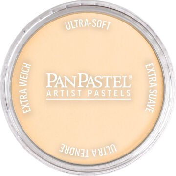 PanPastel PP 280.8 ORANGE TINT