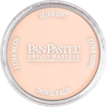 PanPastel PP 380.8 RED IRON OXIDE TINT