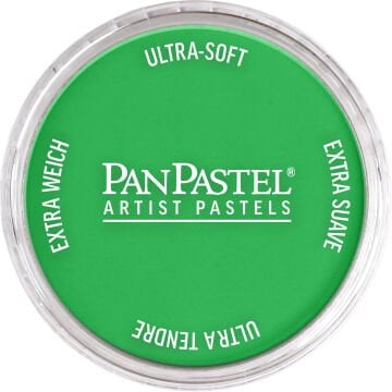 PanPastel PP 640.5 PERMANENT GREEN