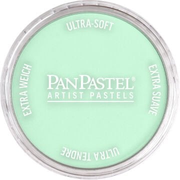 PanPastel PP 640.8 PERMANENT GREEN TINT