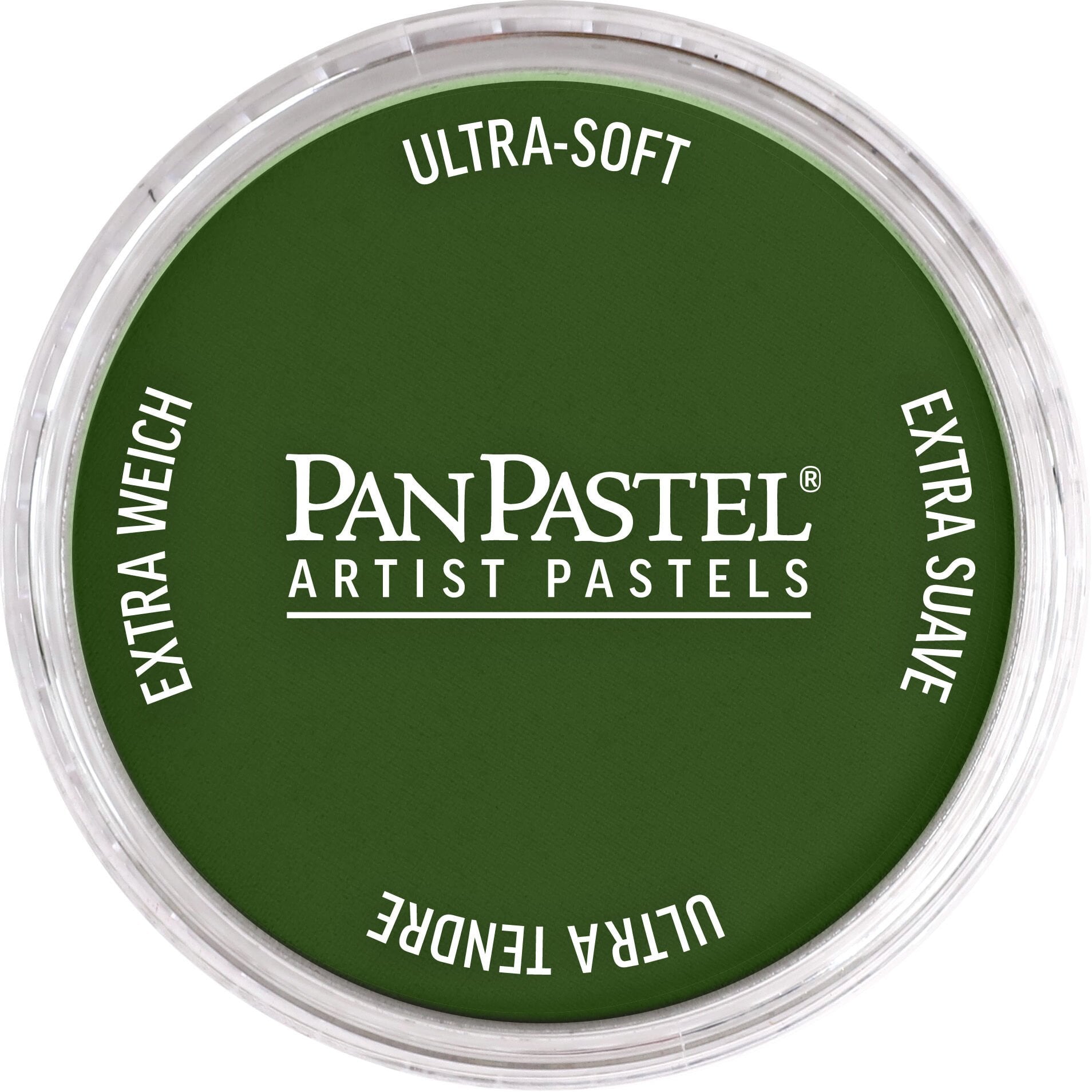 PanPastel PP 660.5 CHROMIUM OXIDE GREEN