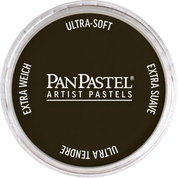 PanPastel PP 780.1 RAW UMBER EXTRA DARK