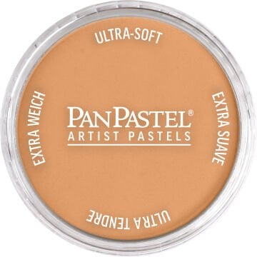 PanPastel PP 930.5 BRONZE