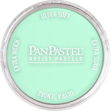 PanPastel PP 956.5 PEARLESCENT GREEN