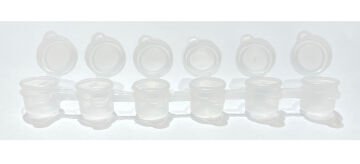 6'Lı Plastik Kapaklı Hokka (3 mm)