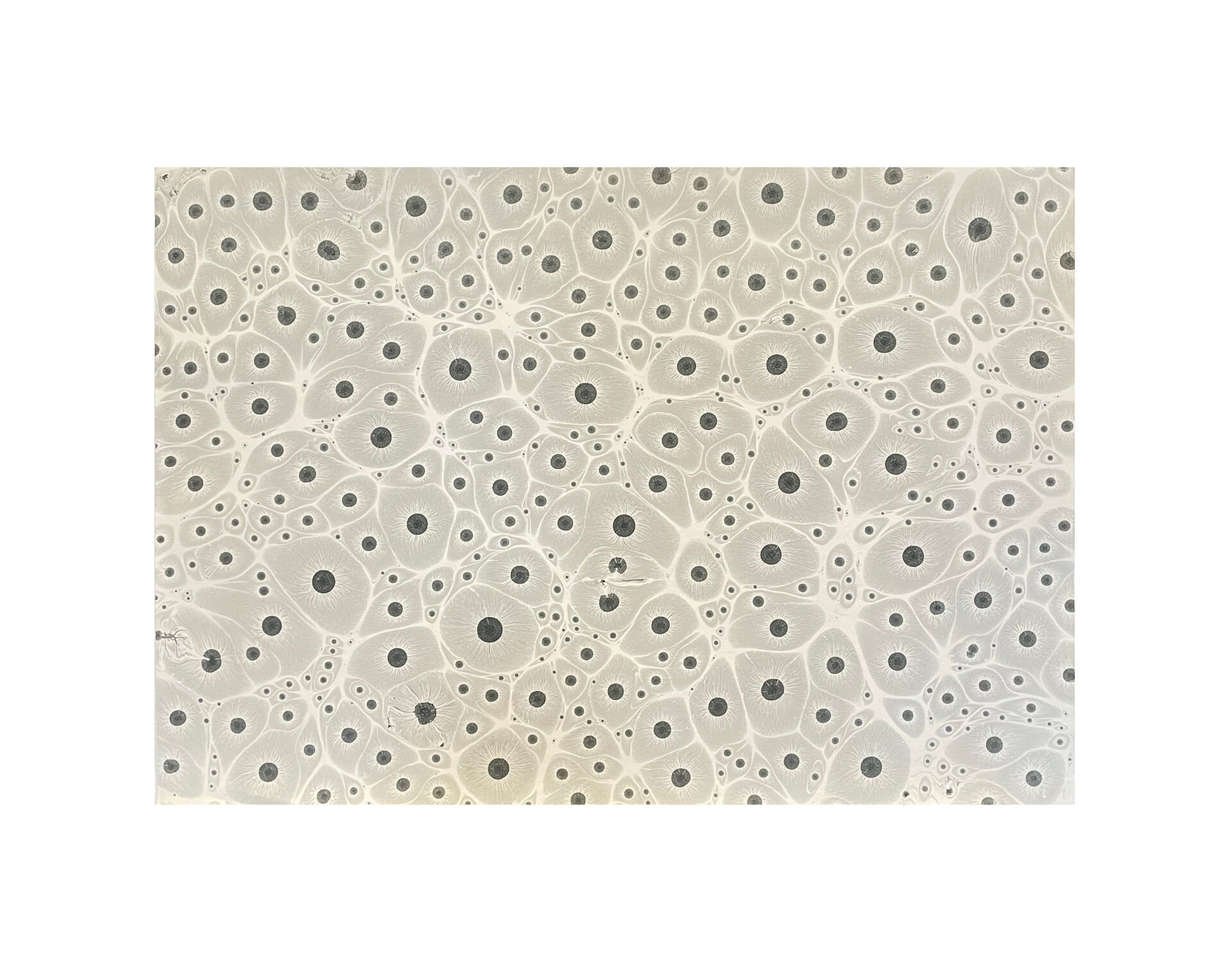 Nedim Sönmez Orijinal El Yapımı Ebru Kağıdı -1 Kaplan Gözü Gri - 47,5 x 67,5 cm