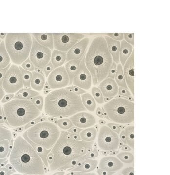 Nedim Sönmez Orijinal El Yapımı Ebru Kağıdı -1 Kaplan Gözü Gri - 47,5 x 67,5 cm