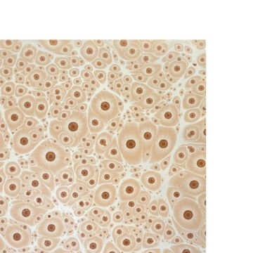 Nedim Sönmez Orijinal El Yapımı Ebru Kağıdı -3 Kaplan Gözü Kahve - 47,5 x 67,5 cm