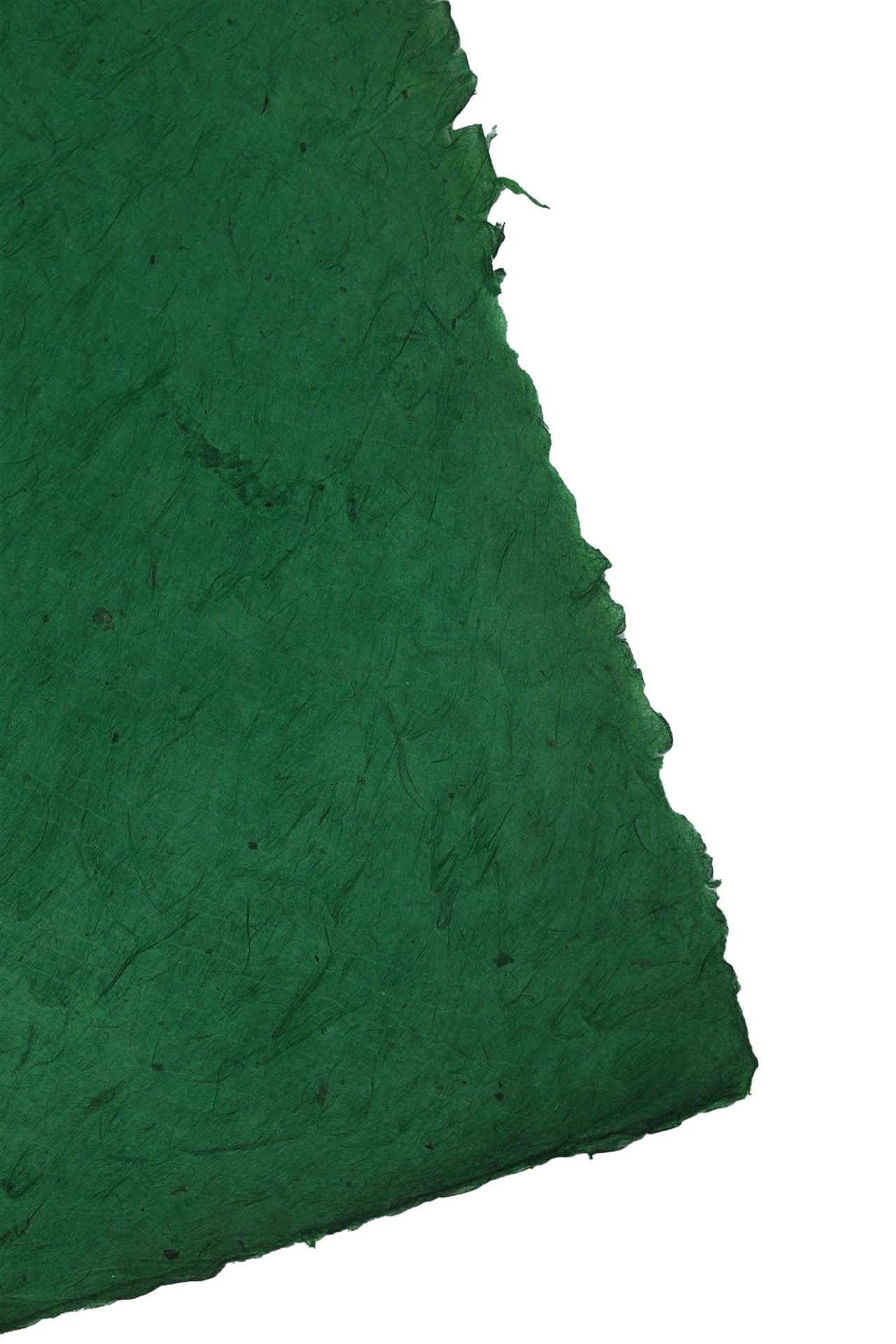 Tiryakiart Aharsız El Yapımı Asitsiz Nepal Kağıdı 70x100 cm 53 Bamboo