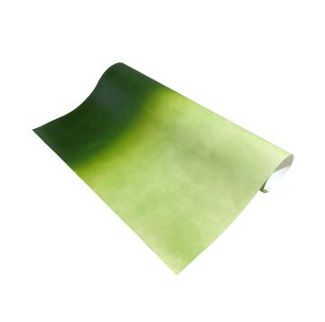 Tiryakiart Aharsız İtalyan Degrede Kağıt 70x100 cm - 3 (Koyu Yeşil, Açık Yeşil)